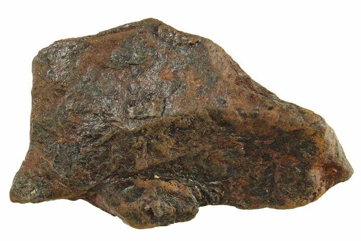 Canyon Diablo Iron Meteorite ( g) - Arizona #287650